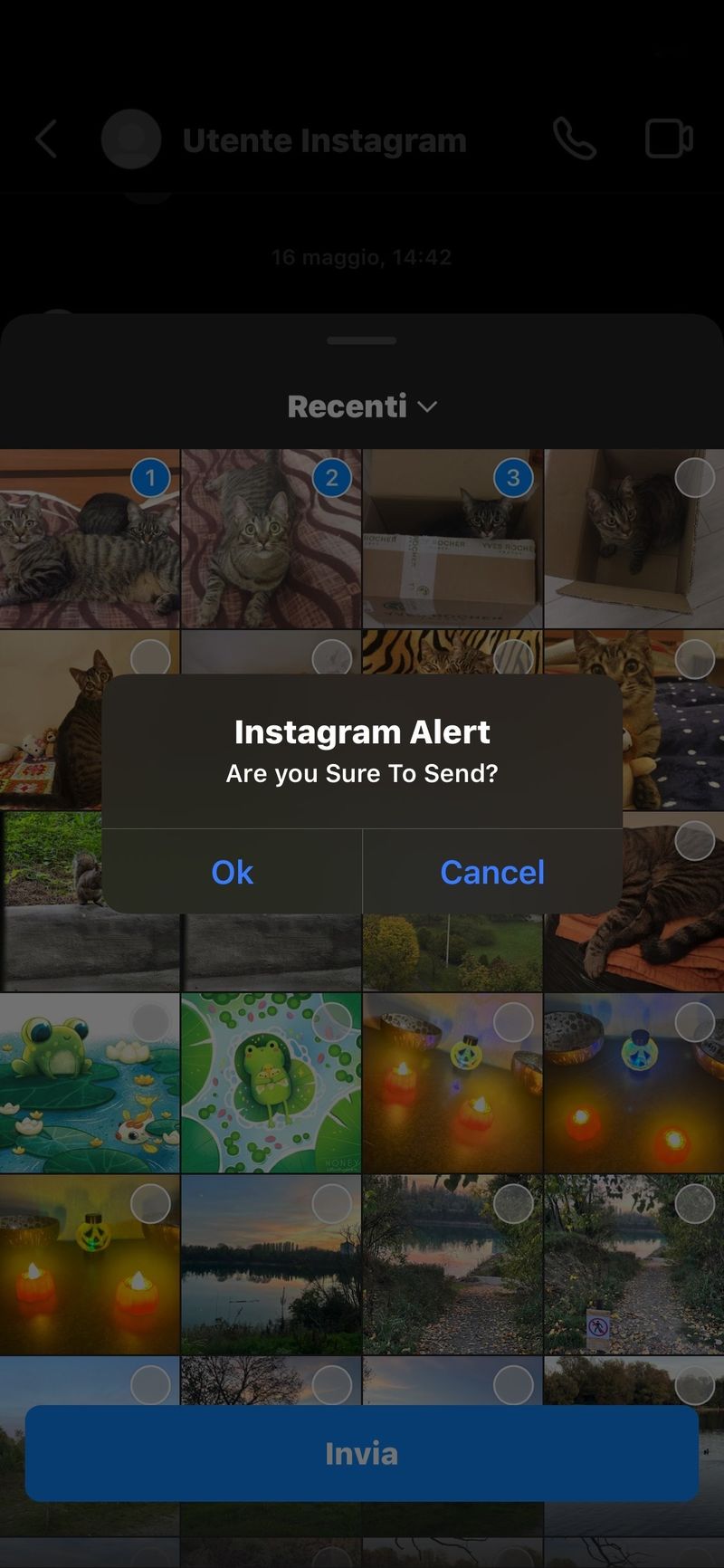 IGTidyMediaSend: evite downloads acidentais de mídia no Instagram